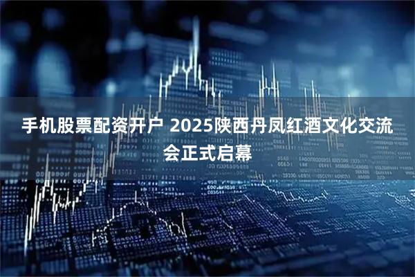 手机股票配资开户 2025陕西丹凤红酒文化交流会正式启幕